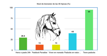 Estudio del índice de bienestar equino en centros de Cataluña