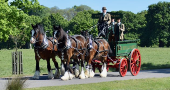La última manada de Shires transforma Londres
