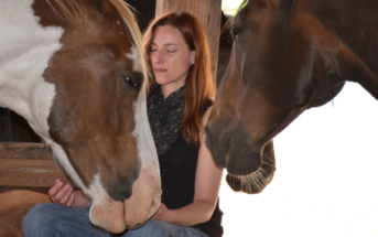 ¿De qué manera los caballos nos conducen a la coherencia cardíaca?