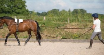Los caballos que se entrenan habitualmente pie a tierra, cuando se montan están más relajados