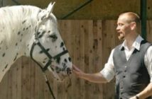 Hugin, el caballo que hizo cambiar a su entrenador la forma de entender la equitación