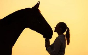 Llega al Servicio de Salud de Asturias la terapia asistida con caballos