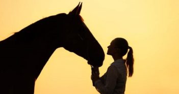 Llega al Servicio de Salud de Asturias la terapia asistida con caballos