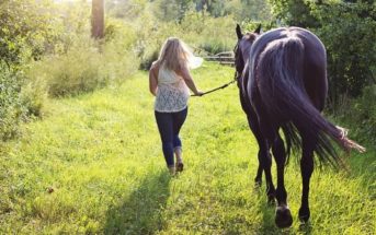 Chic@s ¿os queréis comprar un caballo? ¡pues tenemos que hablar!