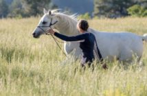 Conexión mental: cuando tu caballo y tú sois uno
