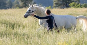 Conexión mental: cuando tu caballo y tú sois uno