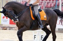Hiperflexión, rollkur o caballo encapotado