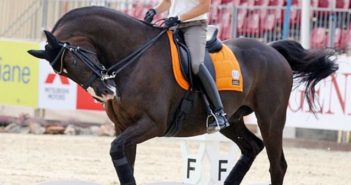 Hiperflexión, rollkur o caballo encapotado