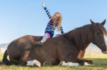 Que dice la ciencia sobre tumbar a los caballos