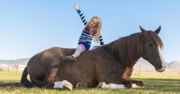 Que dice la ciencia sobre tumbar a los caballos