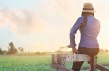 Cuidador de caballos – 10 consejos para evitar el agotamiento