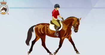 Propuesta de protocolo básico para la vuelta a la actividad deportiva ecuestre durante la vigencia del estado de alarma