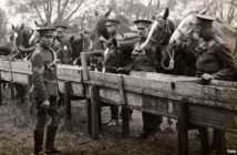 Homenaje a los 8 millones de caballos que murieron en la 1ra guerra mundial