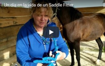 El día a día de un «Saddle Fitter»