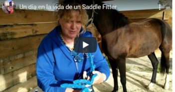 El día a día de un «Saddle Fitter»