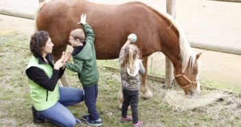 «Al rescate tras el covid-19» Se crea una guía de buenas prácticas para las IAE (Intervenciones Asistidas con Equinos)