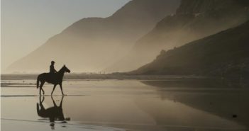 Problemas respiratorios en los equinos