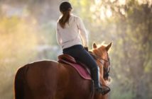 Atrofia muscular a causa de una silla de montar inadecuada