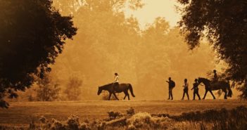 Ya es oficial: los caballos nos aportan bienenstar