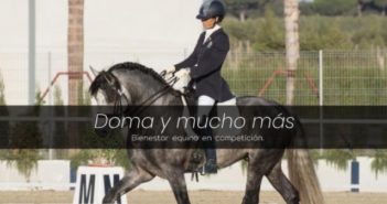 Investigación pionera en Doma Clásica permitirá conocer el estado físico de los caballos de concurso durante la competición