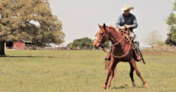 Mi caballo no acepta bien este freno ¿Cambiarlo es la mejor opción?