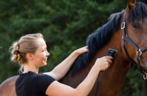 ¿Por qué debes esquilar a tu caballo?