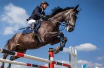 Hoja de ruta para el uso ético de los caballos en el deporte