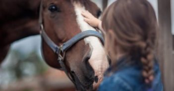 De Heus impulsa una Guía para aportar al bienestar de los caballos de intervención