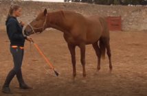 Corregir es mucho más fácil cuando sabemos qué pedirle a nuestro caballo