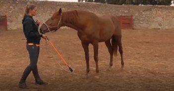 Corregir es mucho más fácil cuando sabemos qué pedirle a nuestro caballo
