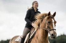 Todo lo que necesitas saber sobre las diferentes sillas de montar a caballo