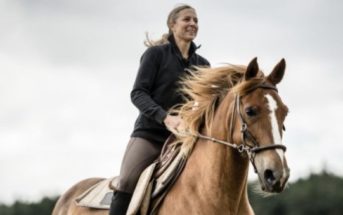 Todo lo que necesitas saber sobre las diferentes sillas de montar a caballo
