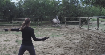 ¿Podemos/debemos corregir a nuestro caballo?
