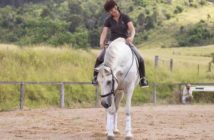 ¿Por qué mi caballo… se asusta?