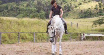 ¿Por qué mi caballo… se asusta?