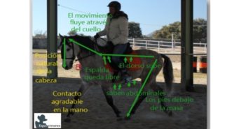 ¿Cómo podemos conseguir que el caballo ceda a nuestra mano?