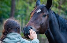 Cómo desarrollar tus ayudas naturales