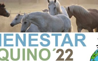 IV Congreso Internacional de Bienestar Equino 2022
