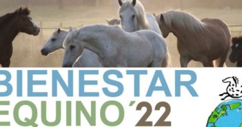 IV Congreso Internacional de Bienestar Equino 2022