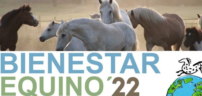 IV Congreso Internacional de Bienestar Equino 2022