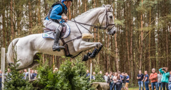 Una nueva comisión asesorará a la FEI para mejorar el deporte hípico