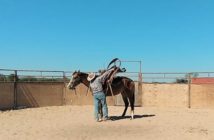 La importancia de ensillar y desensillar a un caballo correctamente