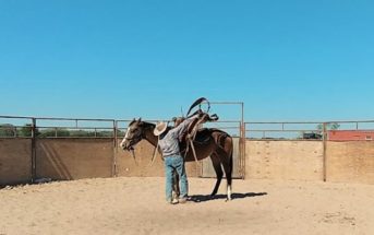 La importancia de ensillar y desensillar a un caballo correctamente