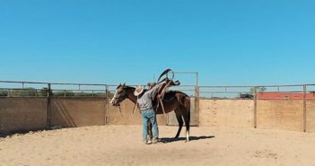 La importancia de ensillar y desensillar a un caballo correctamente