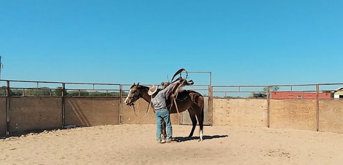 La importancia de ensillar y desensillar a un caballo correctamente