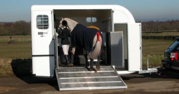 La importancia de que los caballos viajen mirando hacia atrás