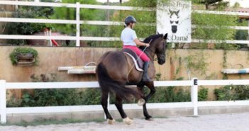 Reconoce y crea un sinfín de posibilidades para ti y tu caballo
