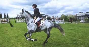 ¿Quieres aprender a montar a caballo? Aquí tienes algunos consejos para convertirte en un buen jinete