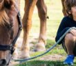 niño en terapia asistida con caballos