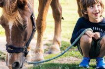 niño en terapia asistida con caballos